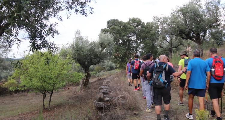 213.º Passeio Pedestre - Vergão