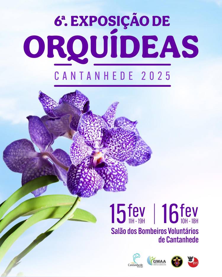 6ª Exposição de Orquídeas de Cantanhede