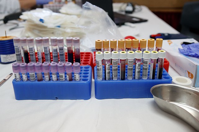 Dádivas de Sangue 2025