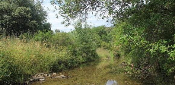 Quinta do Peral - Vamos passear para observar as marcas do inverno no “Caminho de ir à Escola”