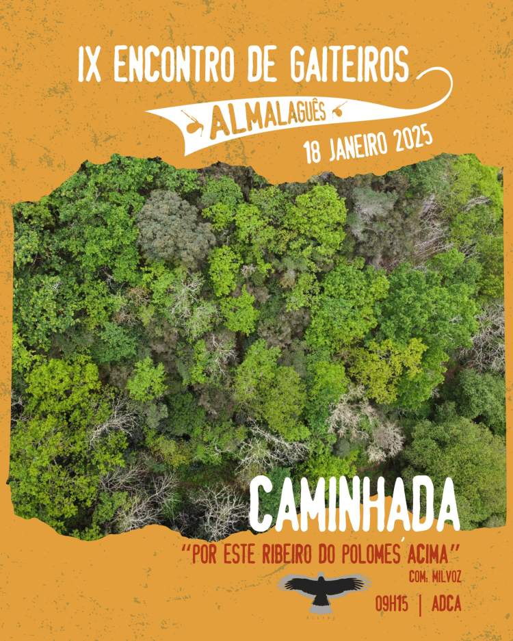 Caminhada: Por este ribeiro do Polomes acima