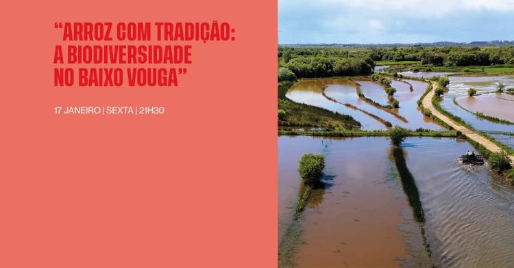 Documentário 'Arroz com Tradição - A Biodiversidade no Baixo Vouga”