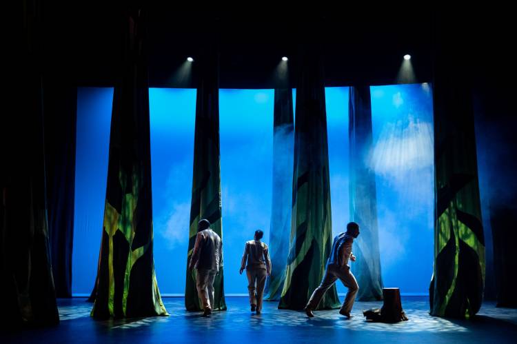 O Bosque | Reposição