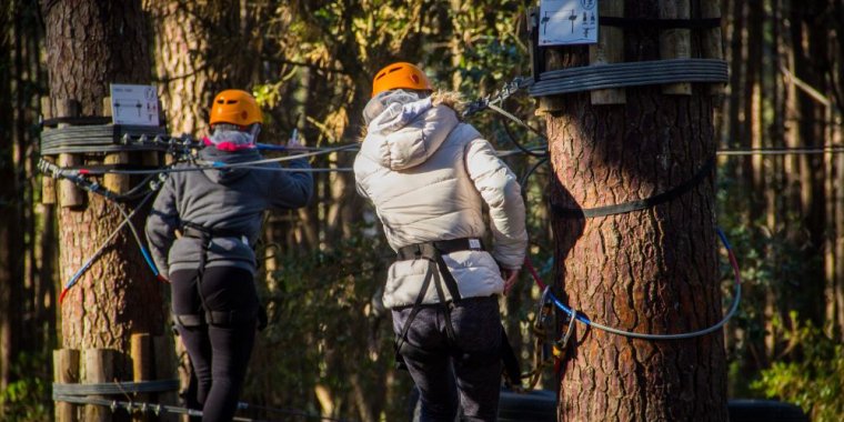 Experiência a dois | Aventura na Pista de arvorismo