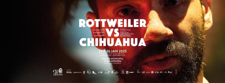 Rottweiler Vs Chihuahua