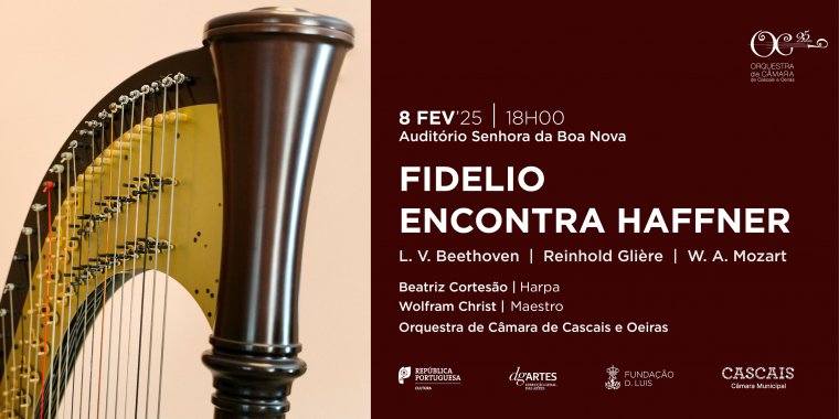 'Fidelio encontra Haffner', concerto pela OCCO