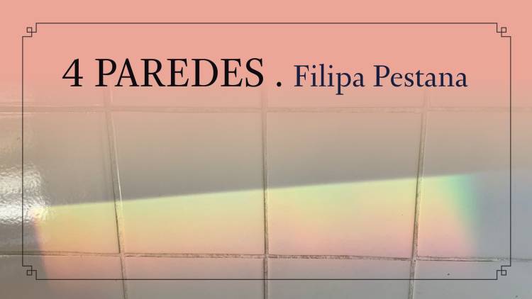 '4 paredes', solo exhibition by Filipa Pestana