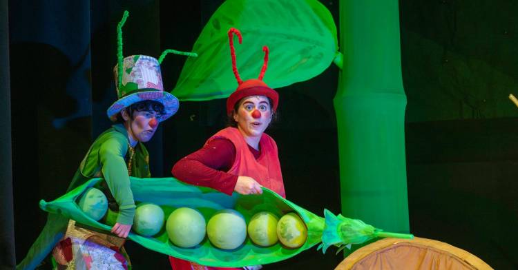 A cigarra e a formiga, em tecido e cartão