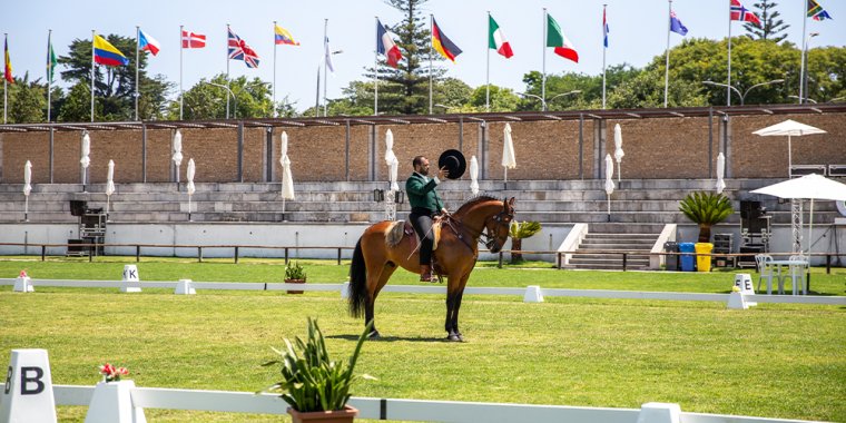 Festival Internacional do Cavalo Lusitano 2025