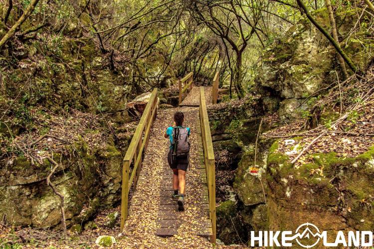 Pelos Trilhos de Sicó: Do Moinho da Melriça ao Vale Encantado | Pombal