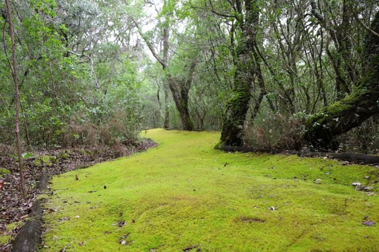 Descubra o Espaço da Biodiversidade