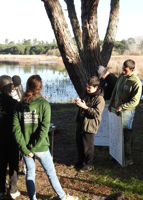 Uma Manhã Como Cientista