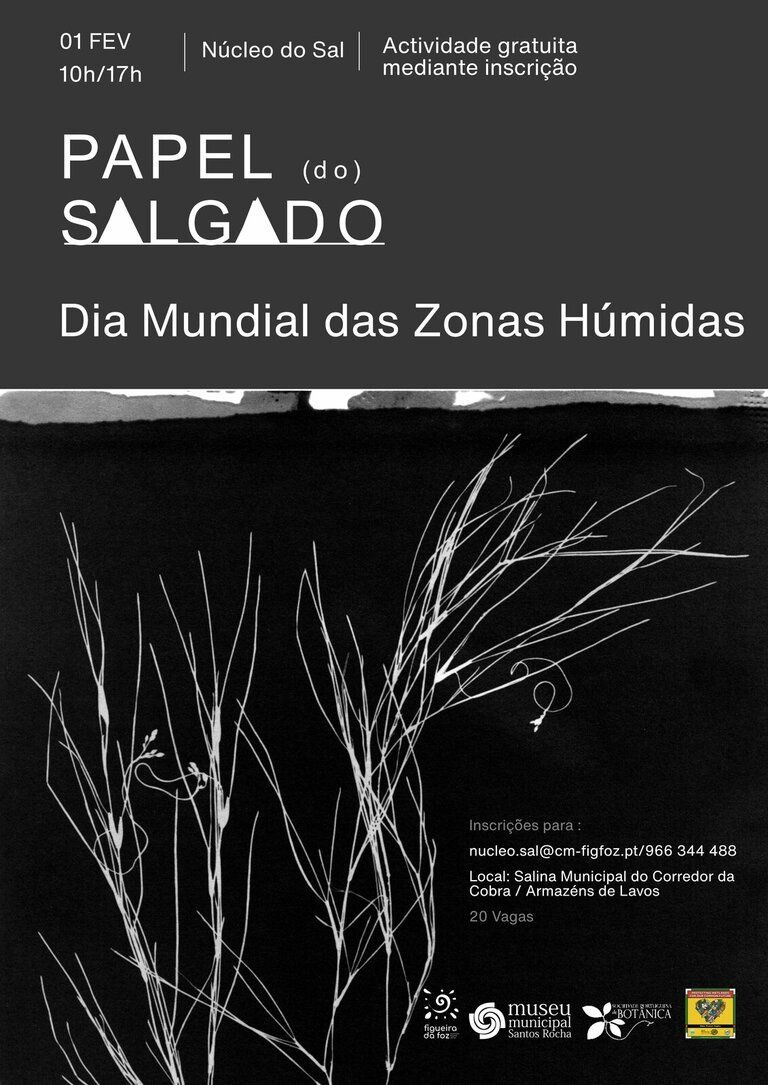 Papel (do) Salgado - Comemoração do Dia Mundial das Zonas Húmidas