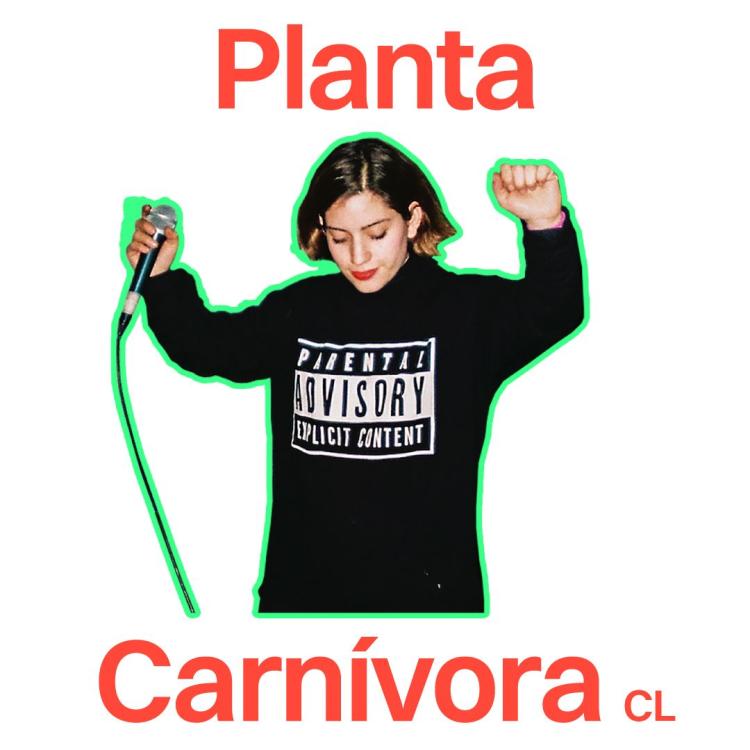 Planta carnívora 