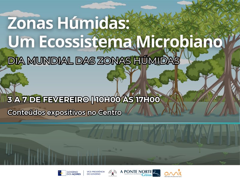 Zonas Húmidas: Um Ecossistema Microbiano