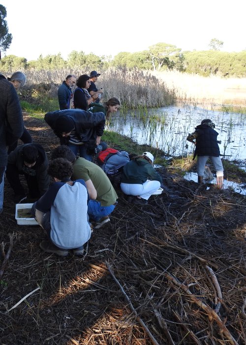 Saída de Campo na Várzea da Quinta do Conde