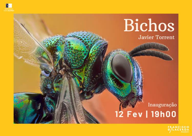 Bichos