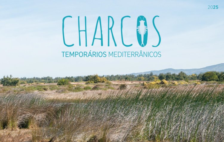 Charcos Temporários Mediterrânicos - Visita Guiada