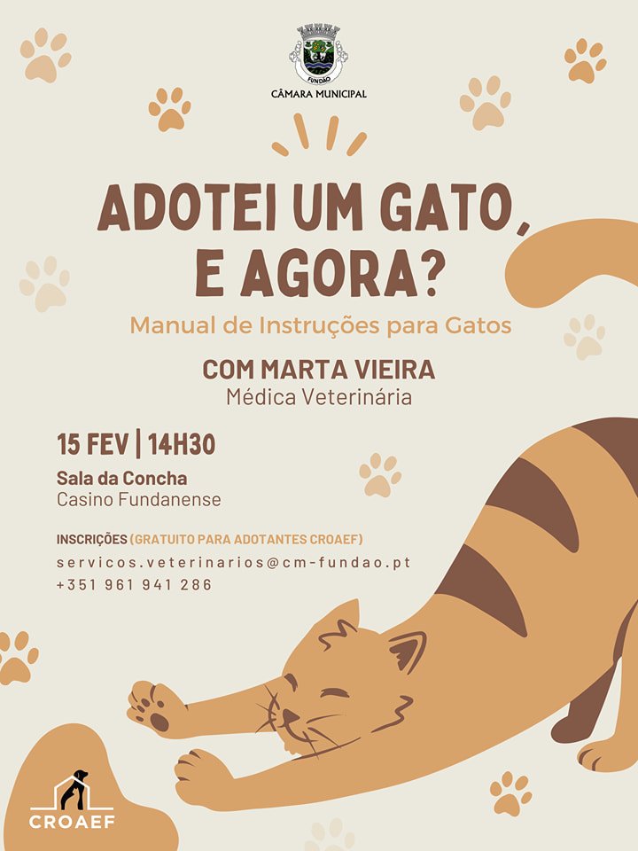Palestra 'Adotei um gato e agora? Manual de instruções para gatos'