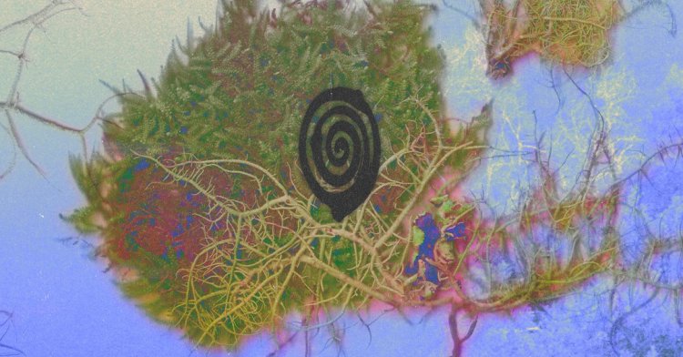 Ouvido Absoluto - Clothilde (concerto no Jardim Botânico)