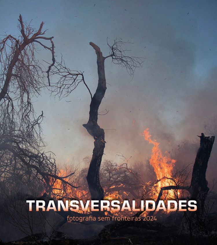 Exposición temporal: 'Transversalidades. Concurso de Fotogra...