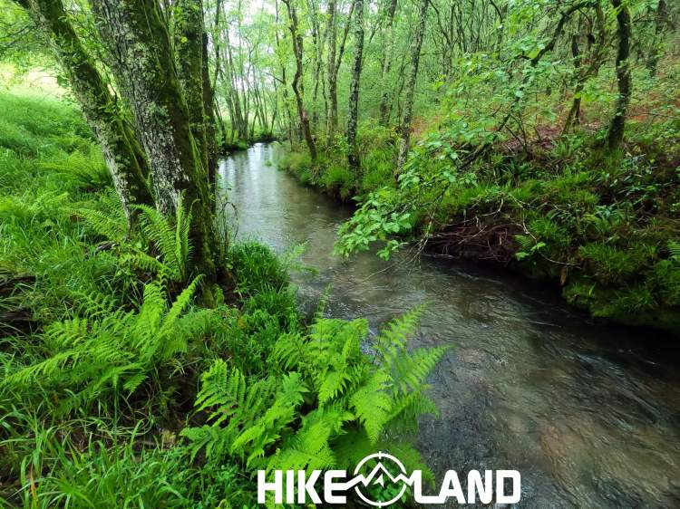 À Descoberta dos Carvalhais de Fafe e do Rio Vizela