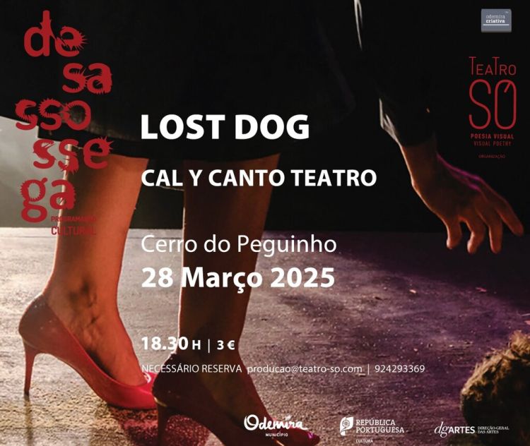 Lost Dog, pela Companhia Cal Y Cante Teatro