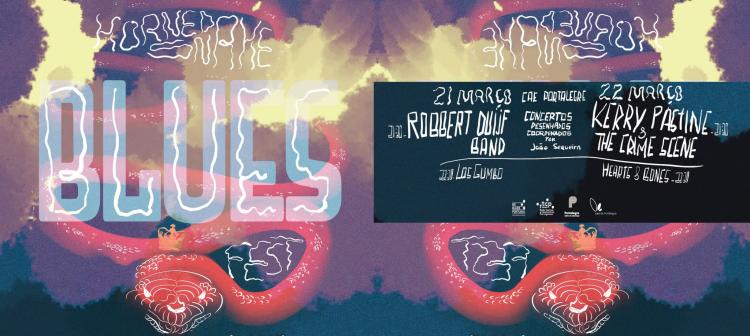 Horned Snake Blues Fest. :: Festival de Blues