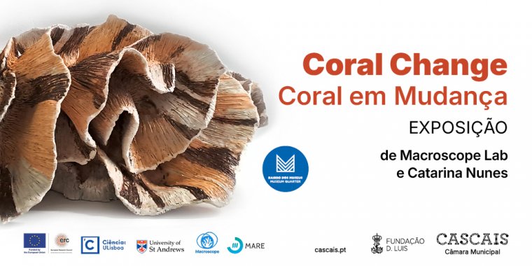 'Coral Change - Coral em Mudança', no Museu do Mar Rei D. Carlos