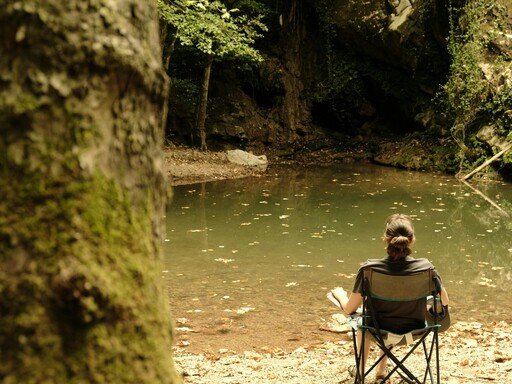 Saúde Mental no Ensino Superior e na Investigação em Portugal