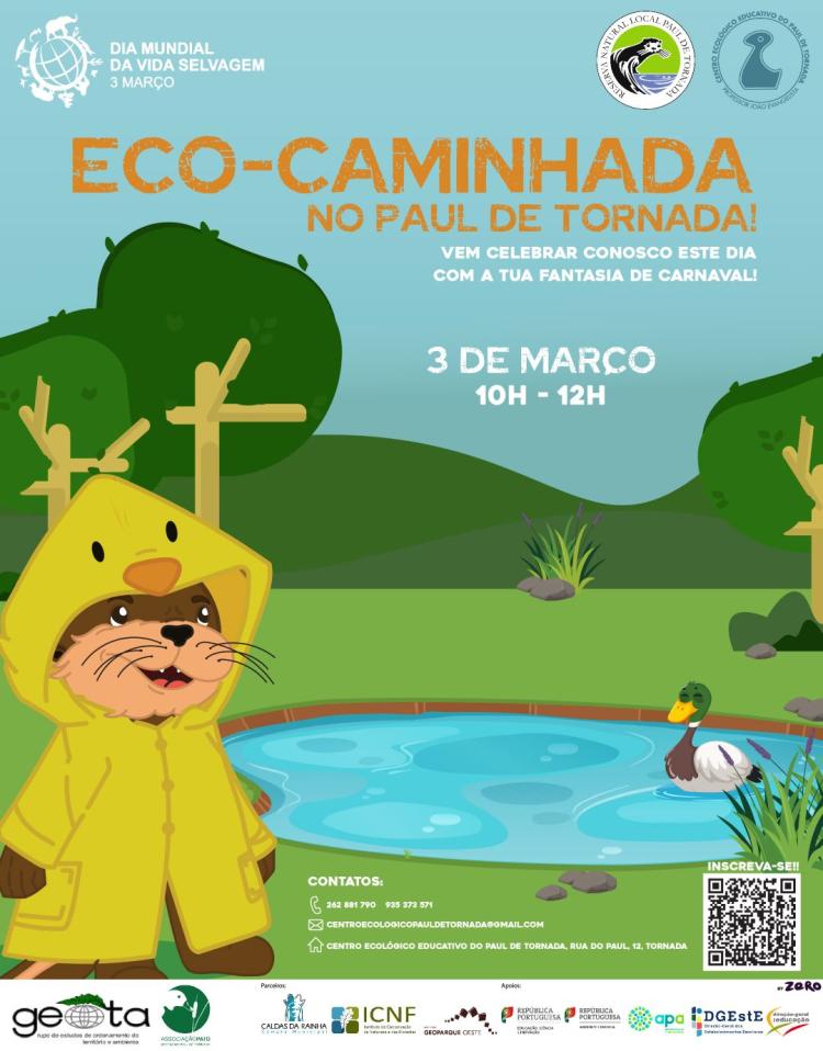 Eco-Caminhada