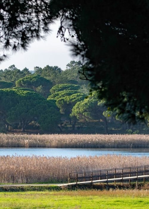 Visita Guiada à Lagoa Pequena