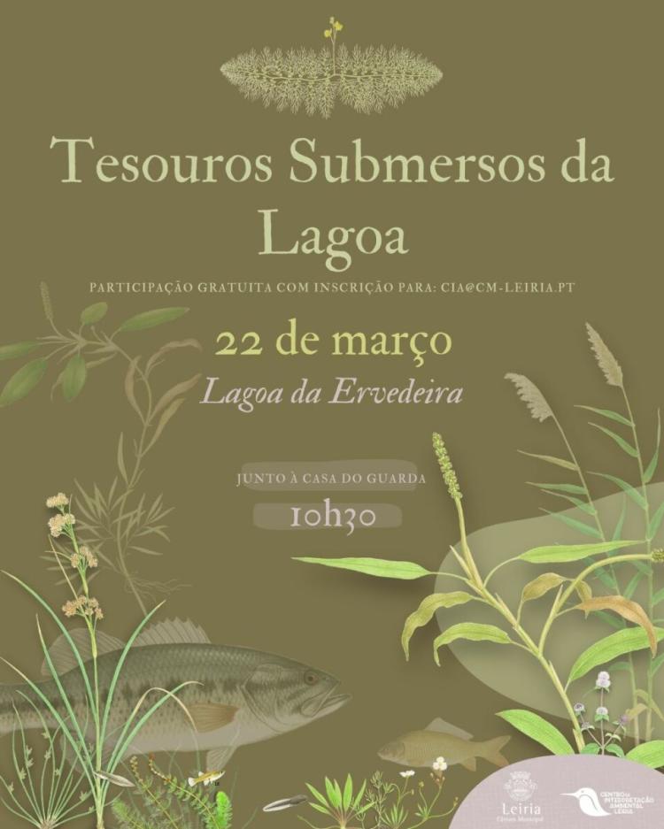 Tesouros Submersos da Lagoa