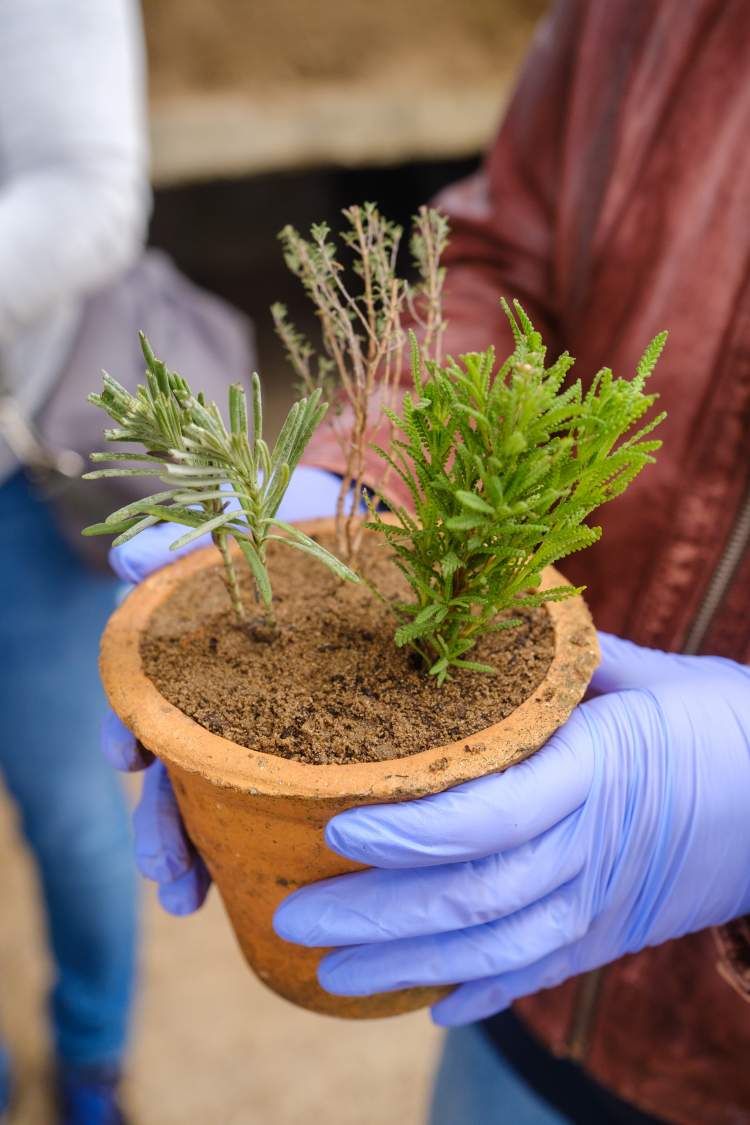 Workshop nos viveiros municipais 'Propagação de Plantas'