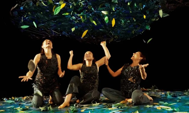 Sotobosque, la vida bajo los árboles