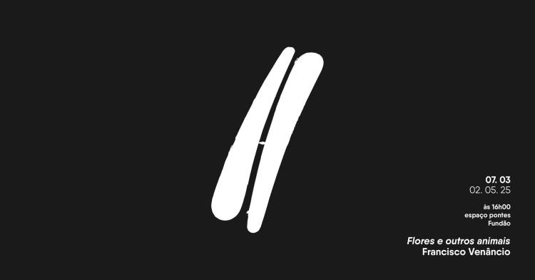 Inauguração exposição 'Flores e outros animais' de Francisco Venâncio