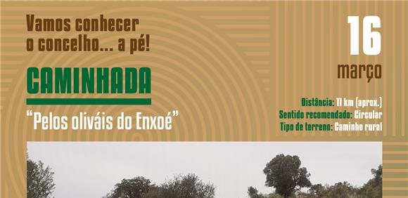 Vamos conhecer  o concelho... a pé! . 'Pelos olivais do Enxoé'