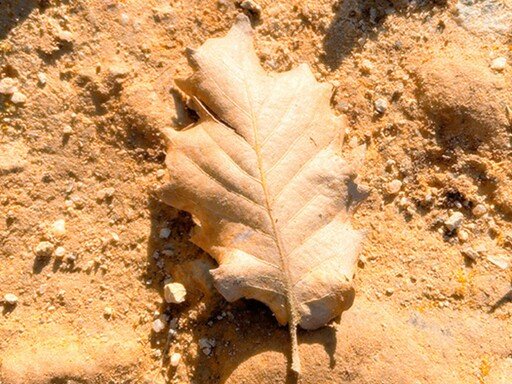 O mistério imanente