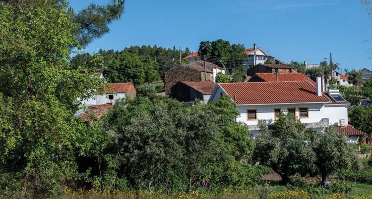 215.º Passeio Pedestre: Vale da Mua