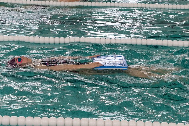 Primavera em Movimento