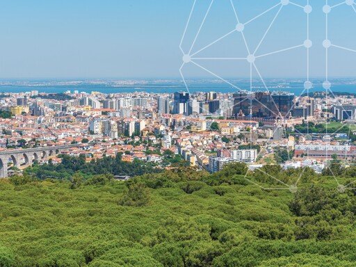 Caminhada pelos Trilhos do Monsanto