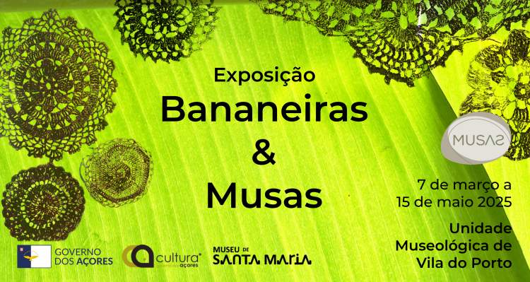 Exposição 'Bananeiras & Musas'