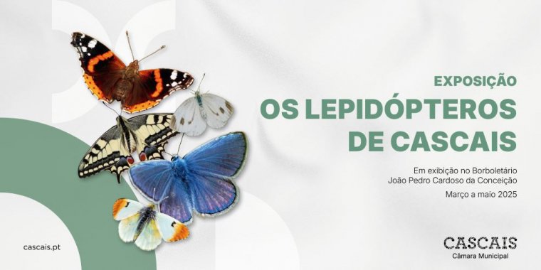 Exposição 'Os Lepidópteros de Cascais'
