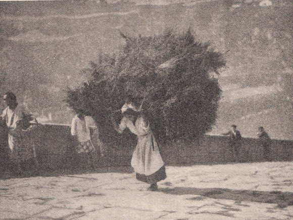 SLOW MOTION TOURS: AGENDA for MARCH of 2025