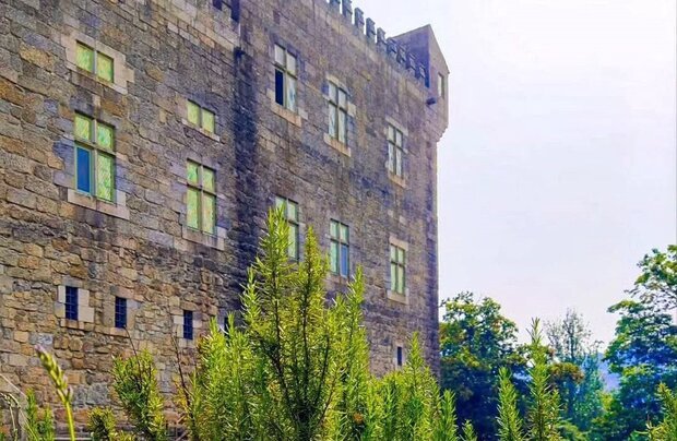 Dia Mundial da Árvore, da Floresta e da Poesia