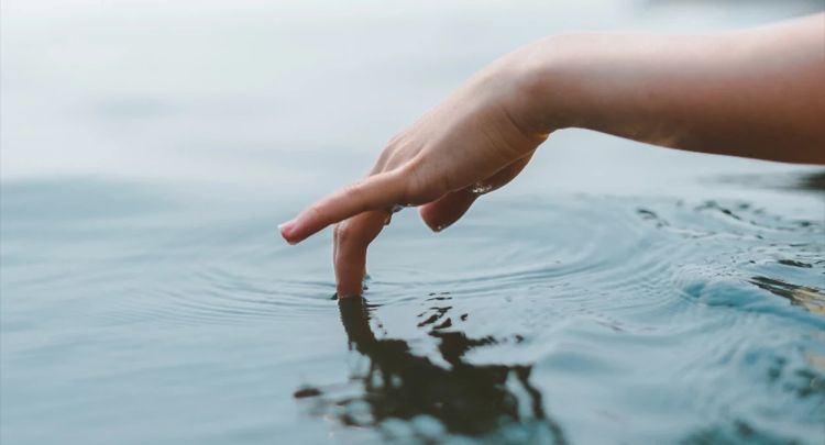Laboratorio del agua: talleres sobre las propiedades y el uso del agua - Día Mundial del Agua