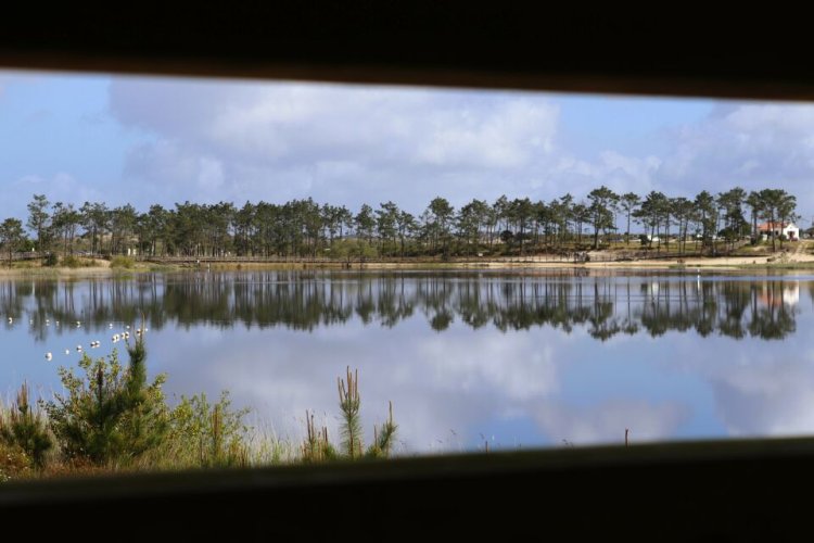 Percurso Pedestre da Lagoa da Ervedeira
