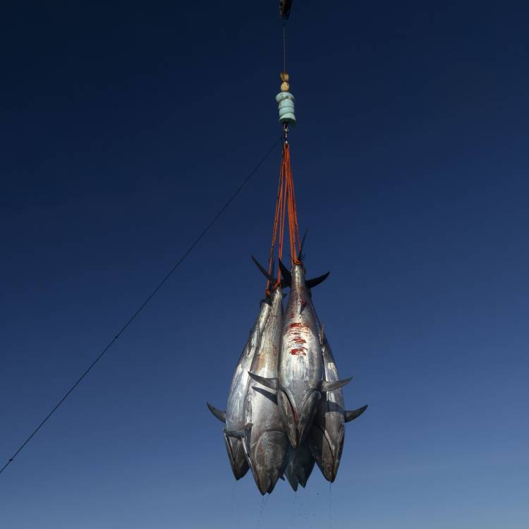Dia Mundial da Água 2025