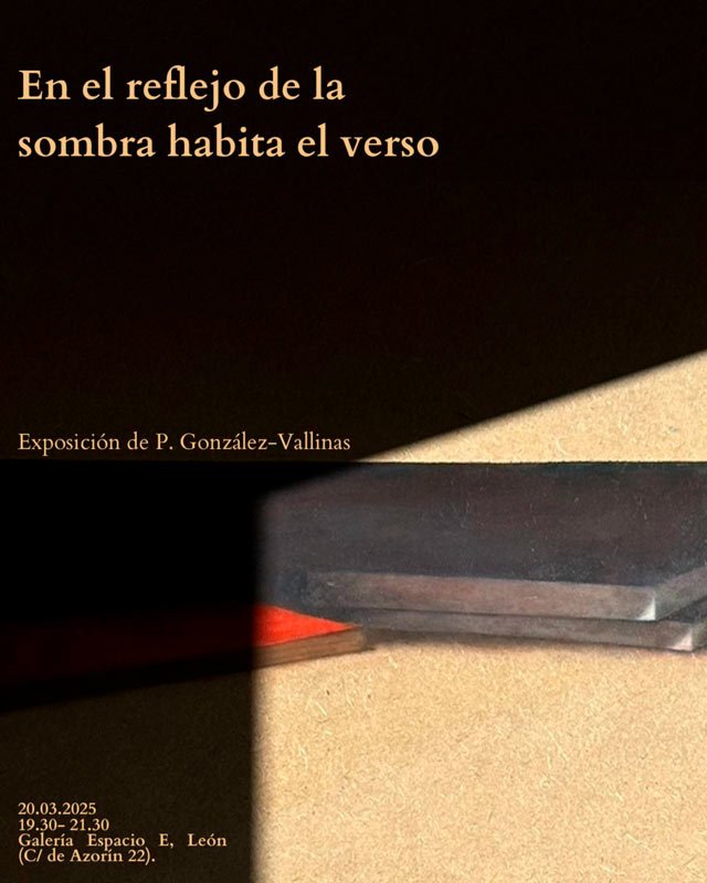 En el reflejo de la sombra habita el verso. Paula González-Vallinas. Espacio_E