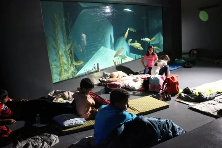 Noite no Museu